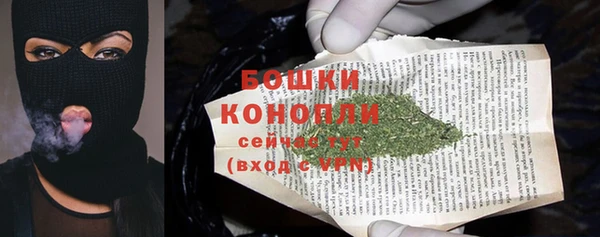 молекула духа Сясьстрой