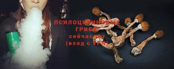 дживик Аркадак
