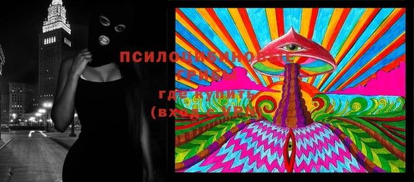 мдпв Арсеньев