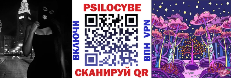 Псилоцибиновые грибы Cubensis  Черняховск 