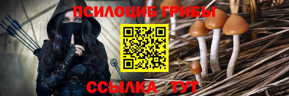 Галлюциногенные грибы Psilocybe  Вход с VPN  Псилоцибиновые грибы MAGIC MUSHROOMS  Черняховск 